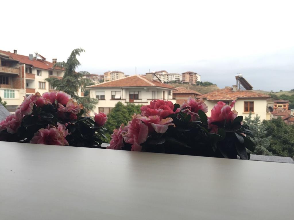 Bora Apartment ซันดันสกี ห้อง รูปภาพ